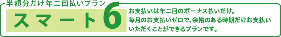 半額分だけ年二回払いプラン「スマート6」